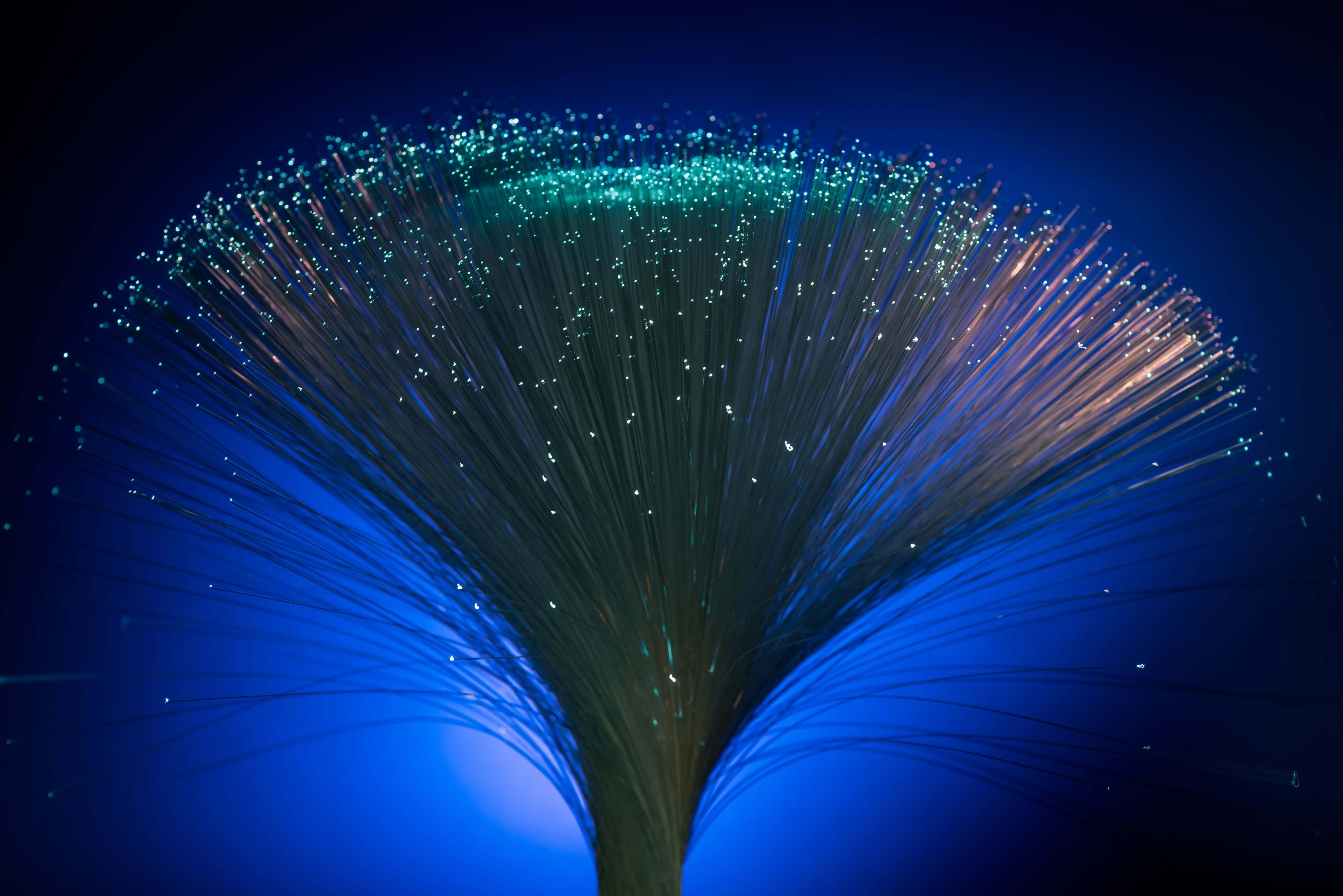 Glowing fiber optics